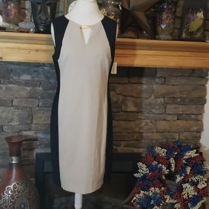⚡SALE⚡NWT Dressbarn BUSINESS DRESS sz 12